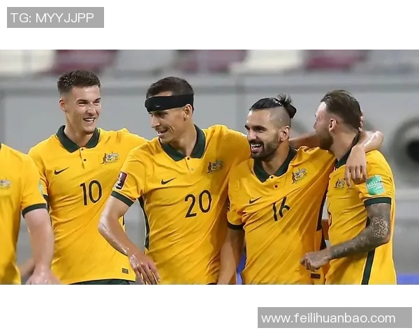 足球世界杯赛事数据挖掘及应用